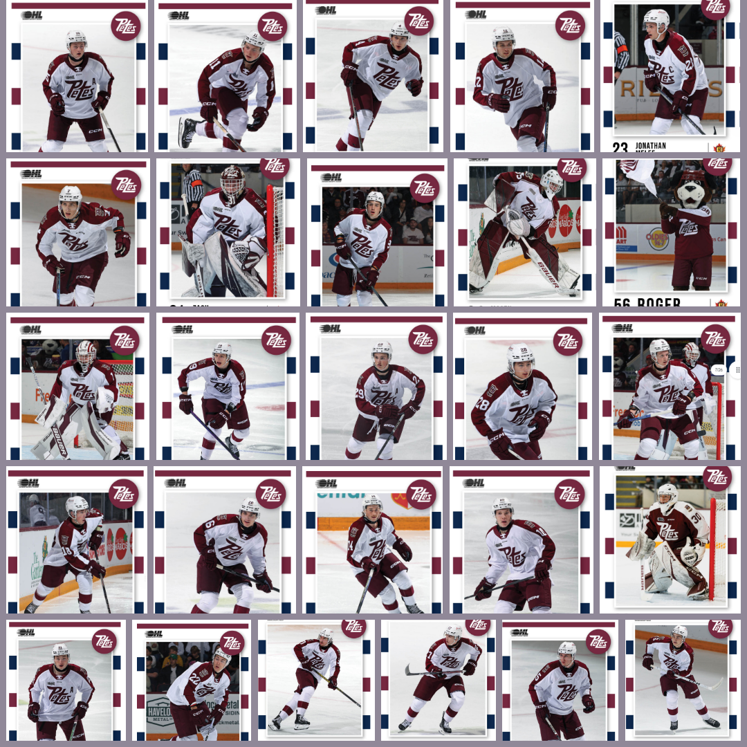 2024-25 Peterborough Petes hockey cards*