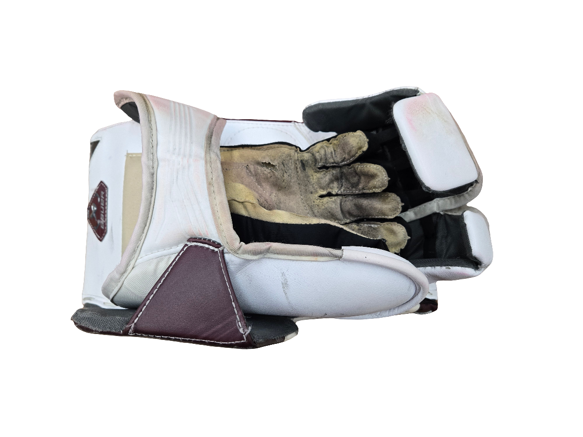 Team issued goalie blocker