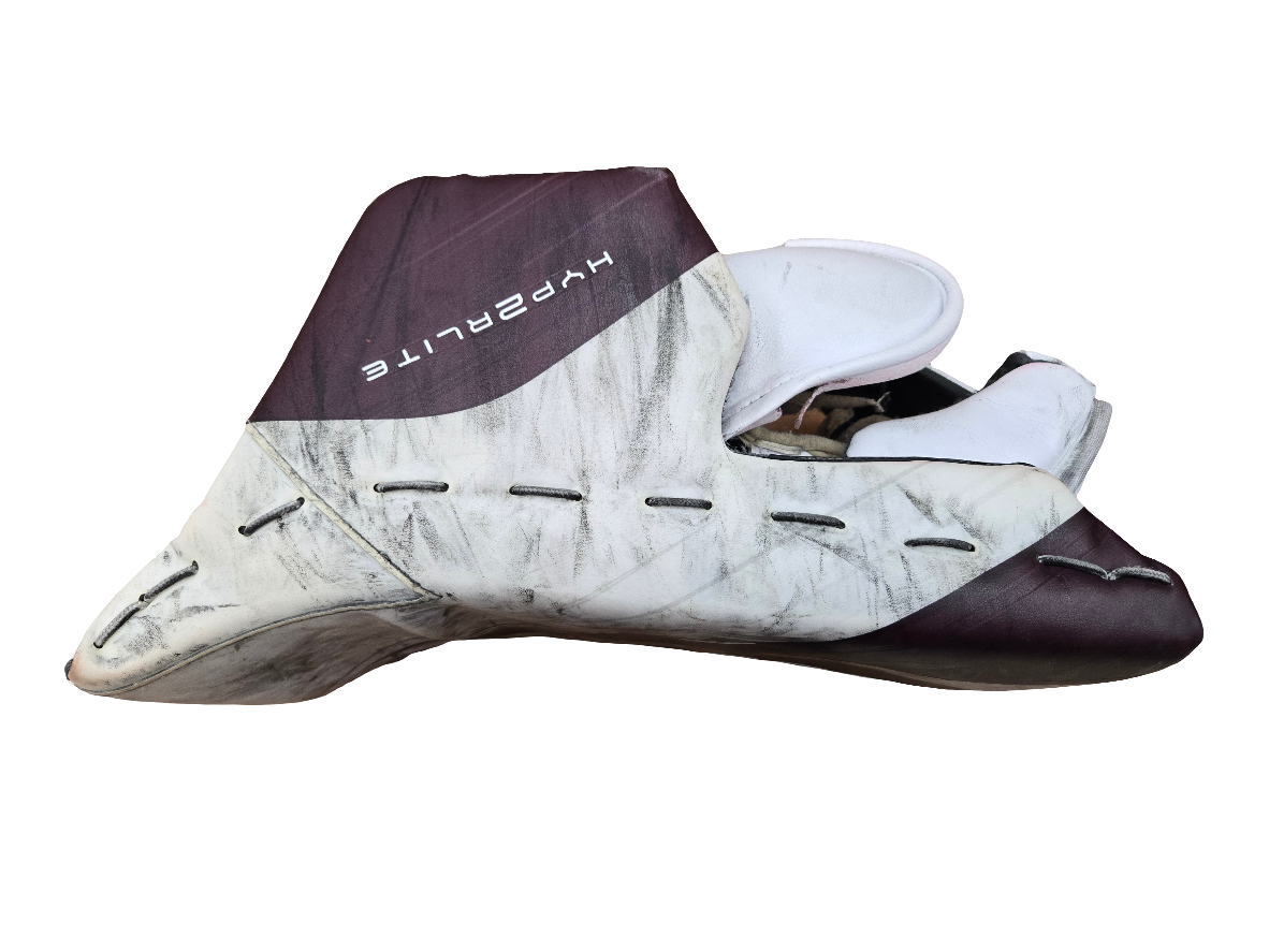 Team issued goalie blocker