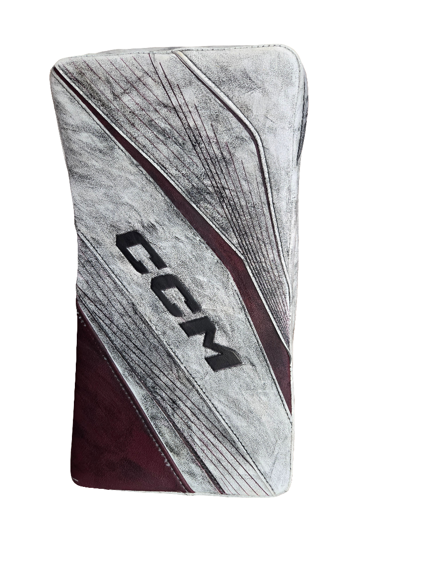 Team issued goalie blocker