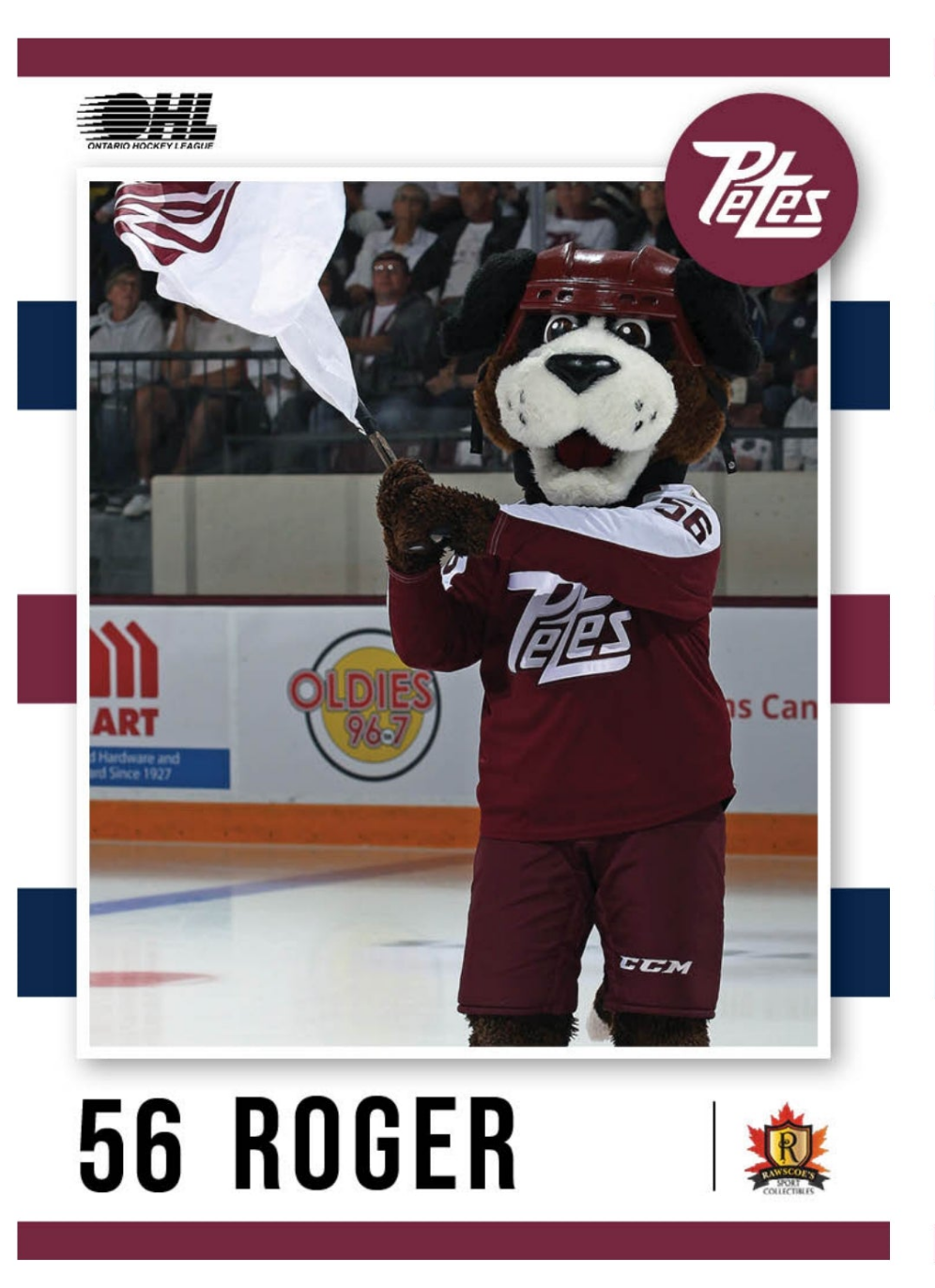 2024-25 Peterborough Petes Roger the Mascot card